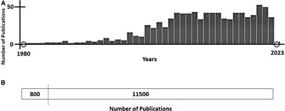 Sex differences in long QT syndrome